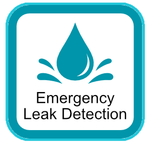 emergency leak detection